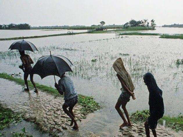 The-Council-of-Mosques